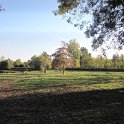 Rochefort sur loire (92).JPG